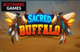 Game 9 Megawin Casino